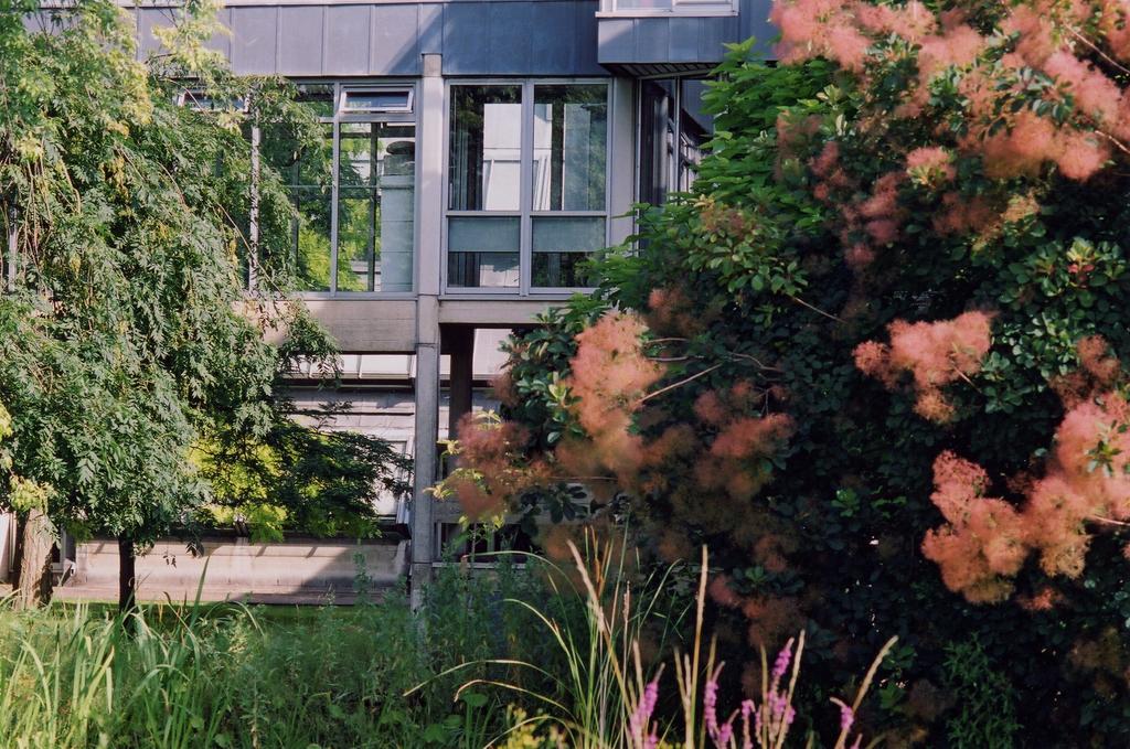 Egrove Park, University Of Oxford South Hinksey Exterior foto